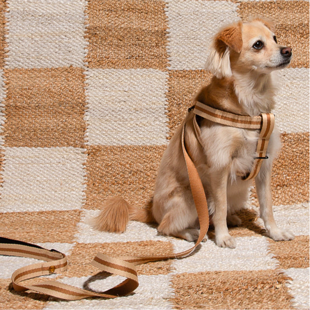 The Classic Harness