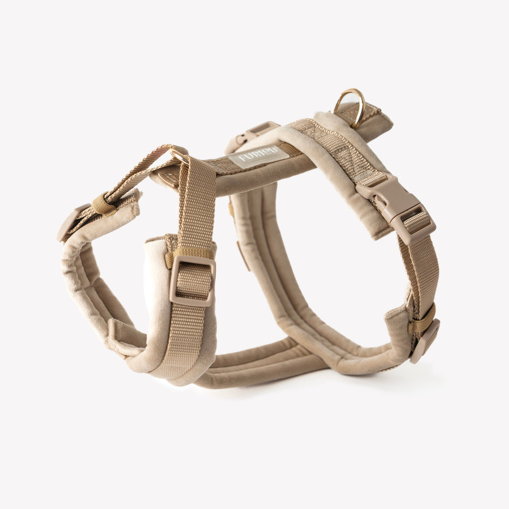 The Everyday Harness