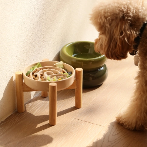 The Slow Ritual Bowl