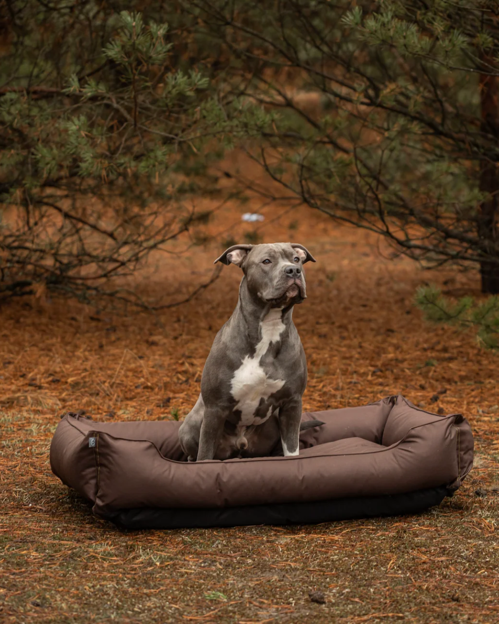 The Rest Bed in Brown