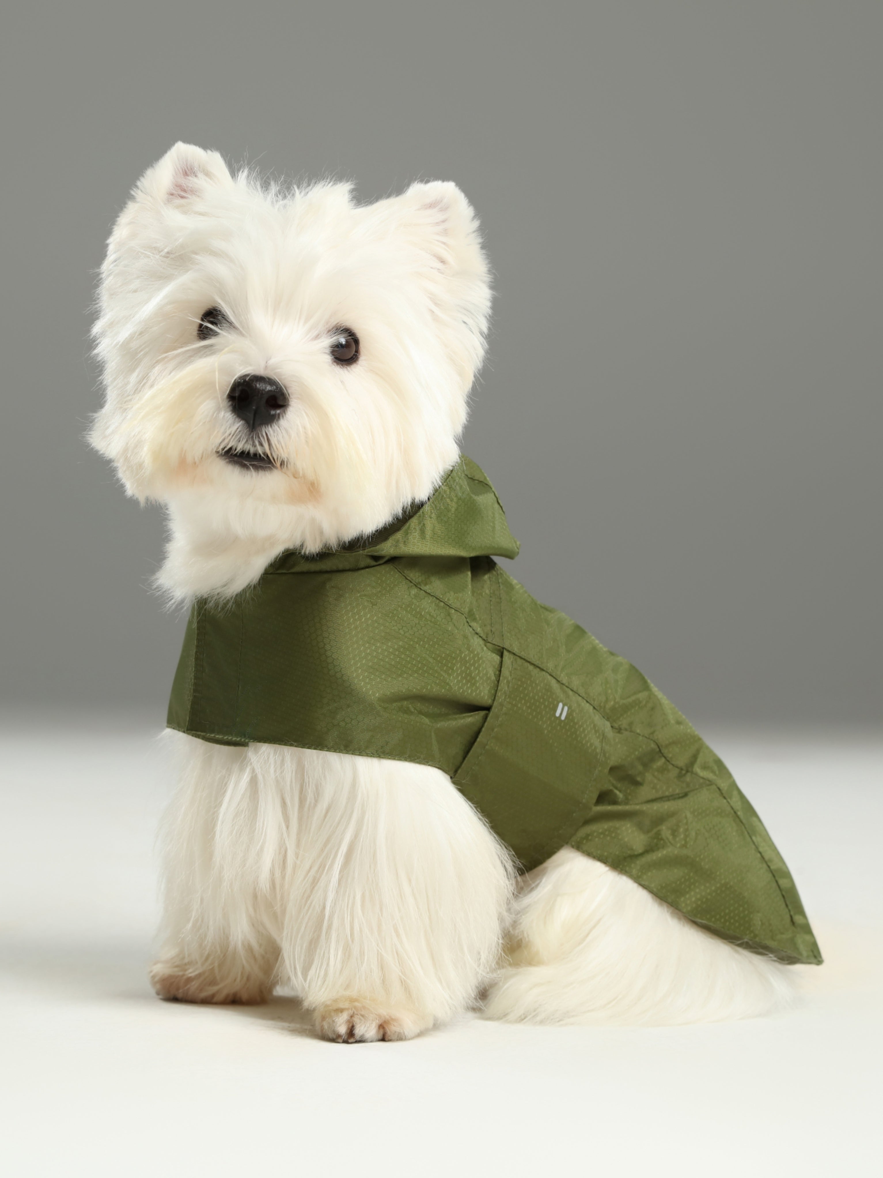 Le Capsule Raincoat in Green