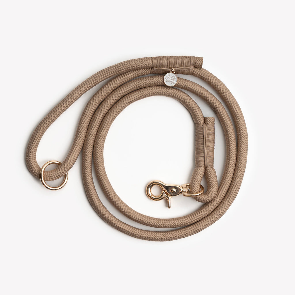 The Essential Leash