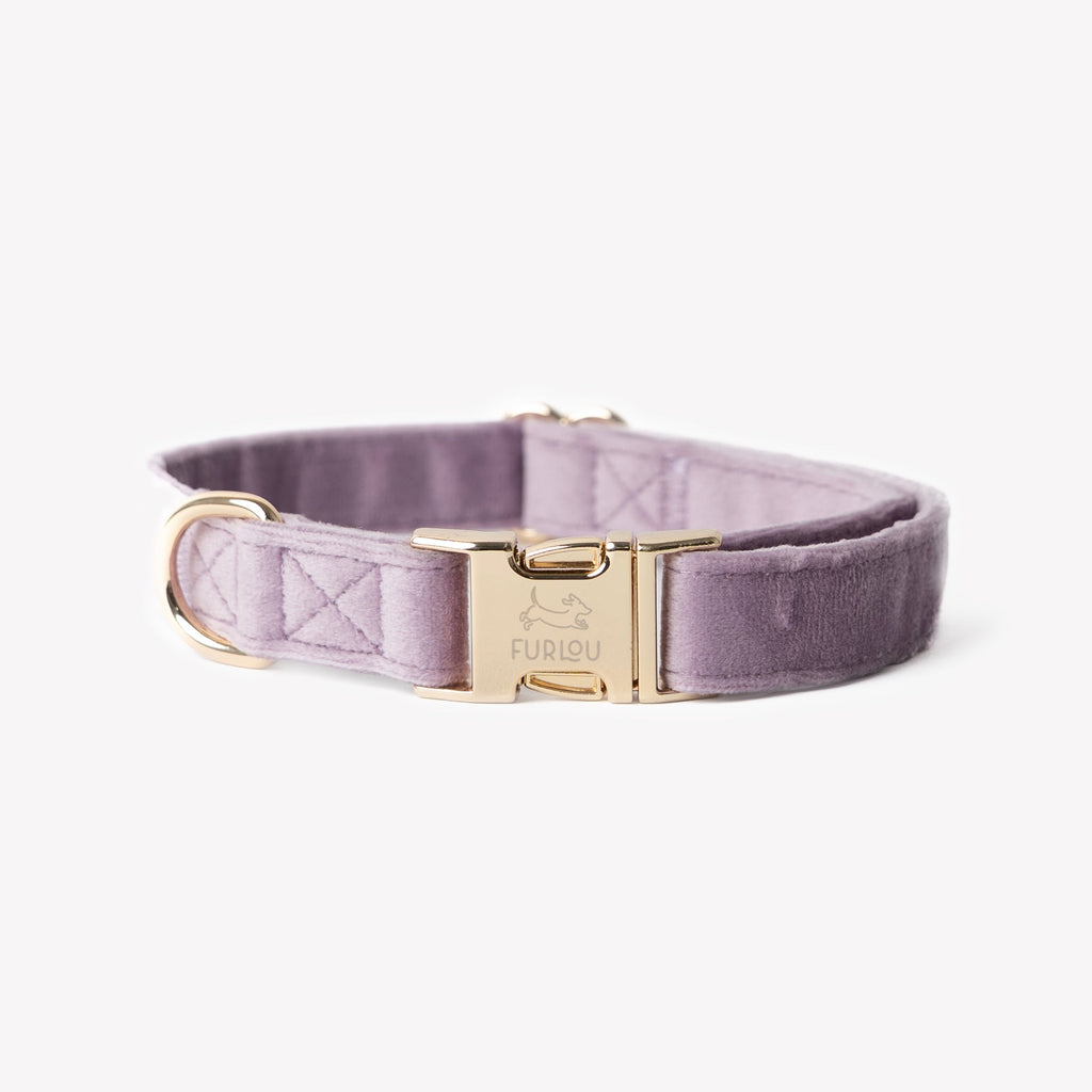 The Velvet Collar