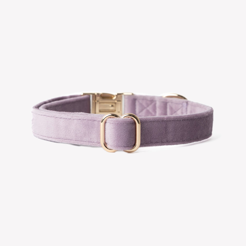 The Velvet Collar