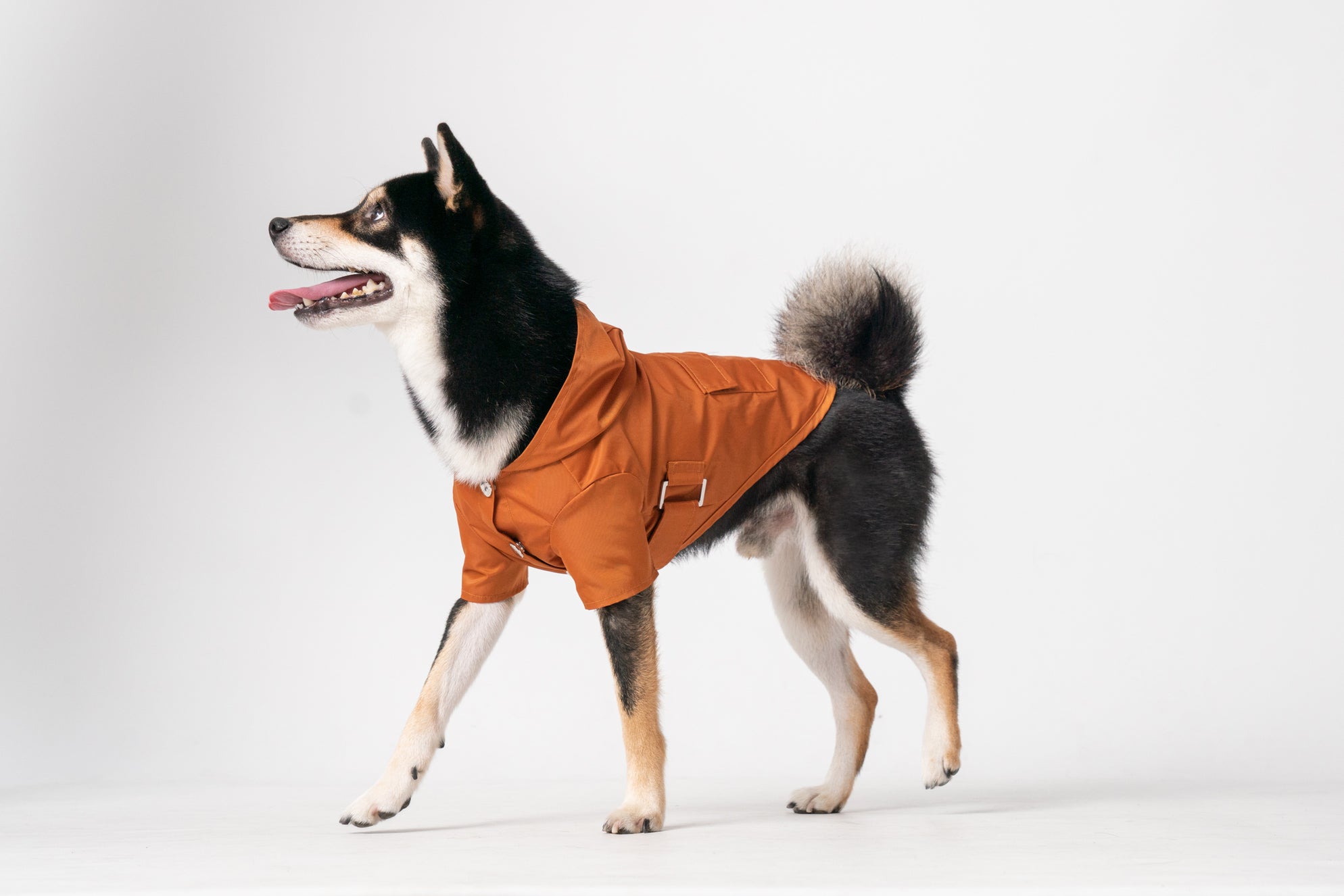 Le Bowery Raincoat in Orange