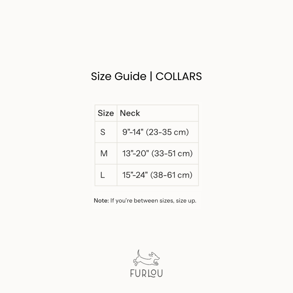 The Velvet Collar