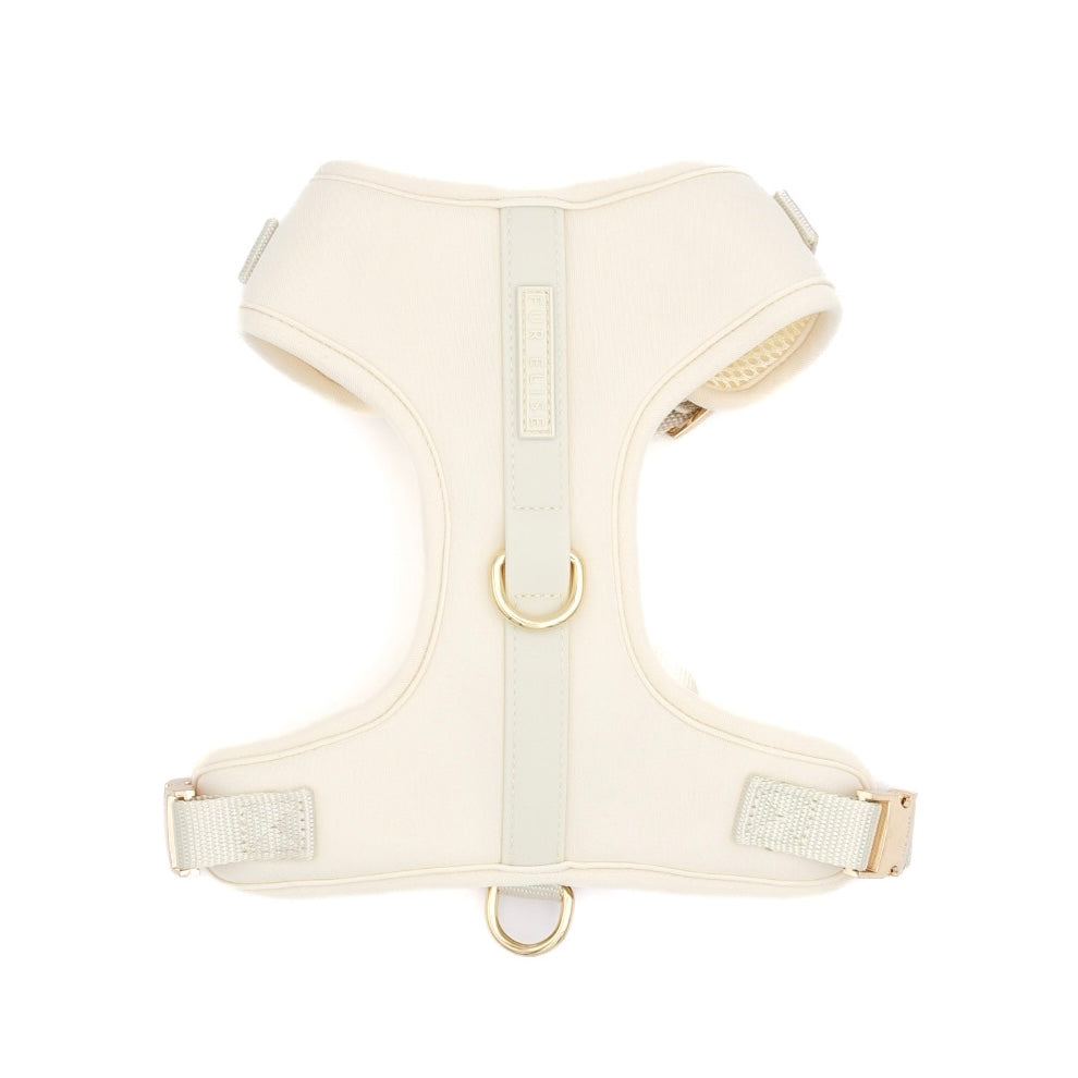 The Bone Ultimate Walk Set