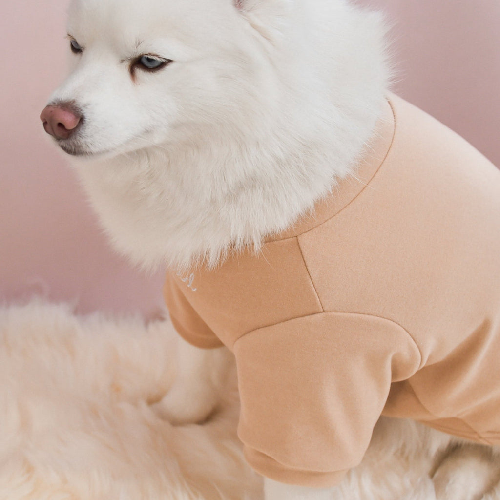 The Bowery Mock Neck in Latte