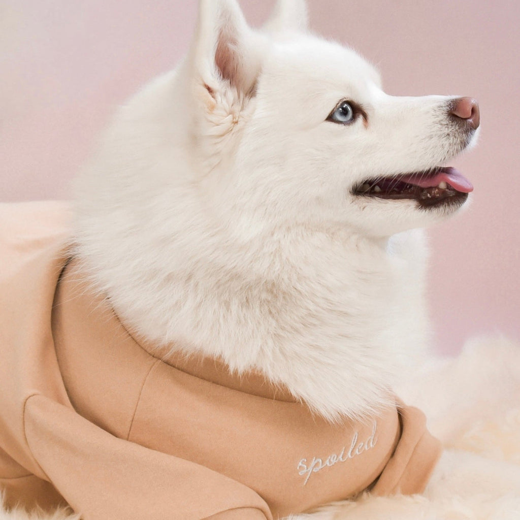 The Bowery Mock Neck in Latte