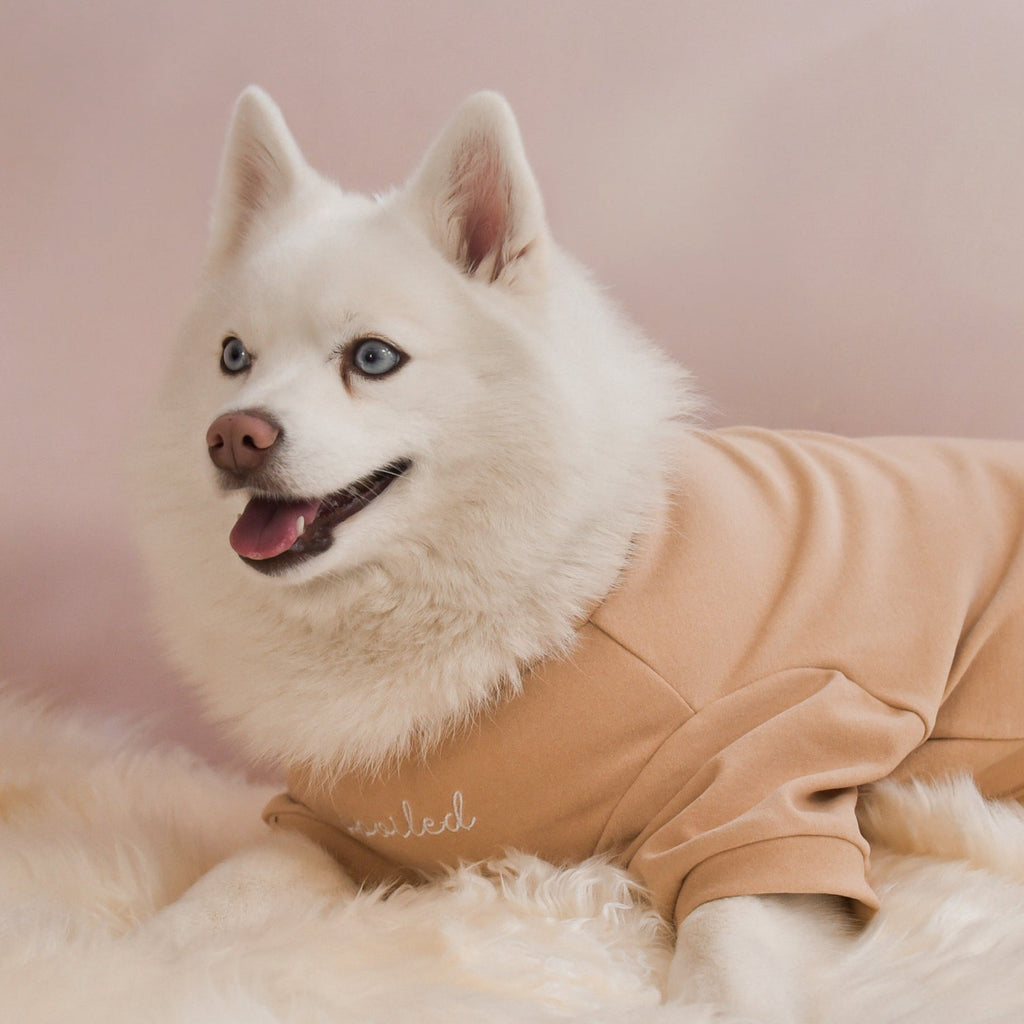 The Bowery Mock Neck in Latte