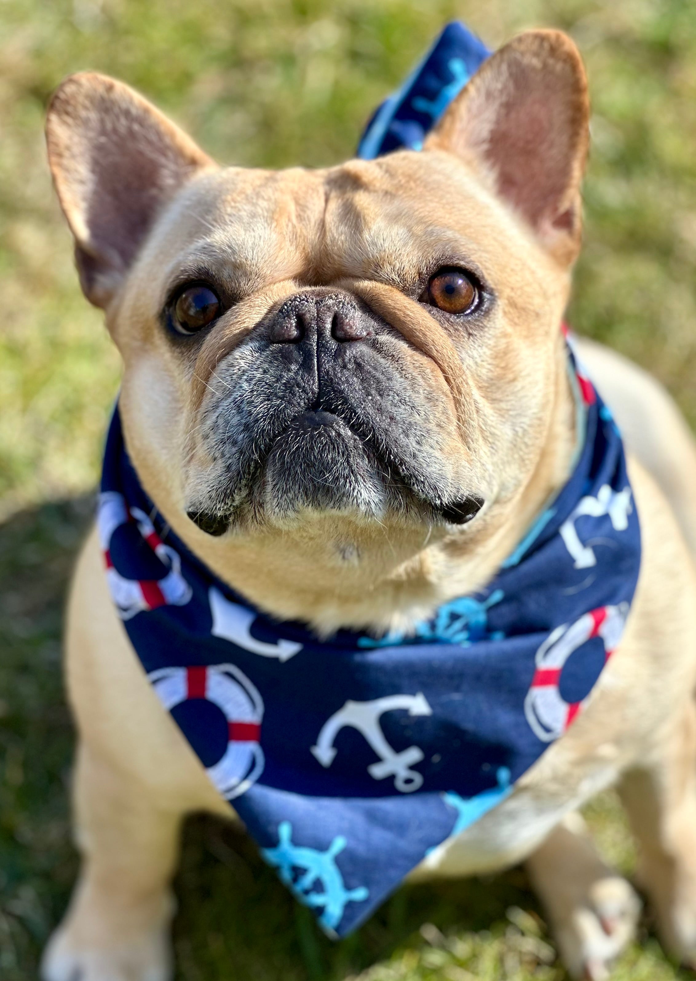 The Seaport Sail Bandana