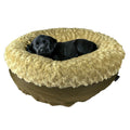 The Bolstered Lounge Bed
