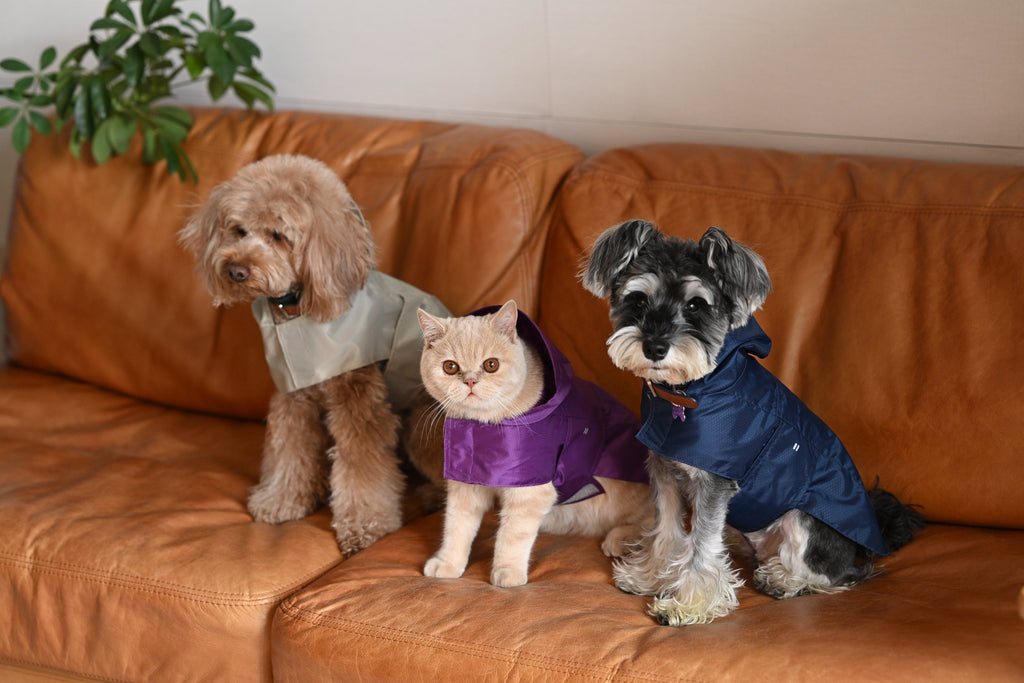 Le Capsule Raincoat in Green