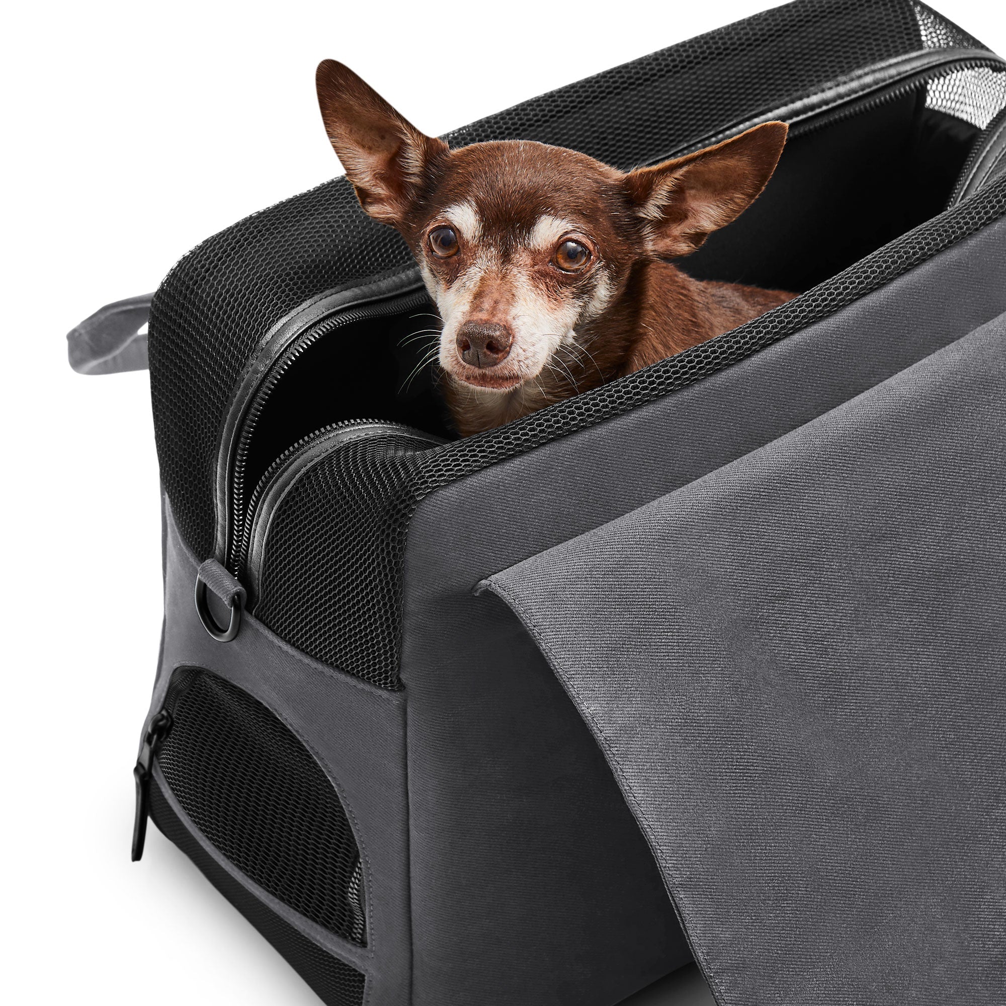 The Destination Tote