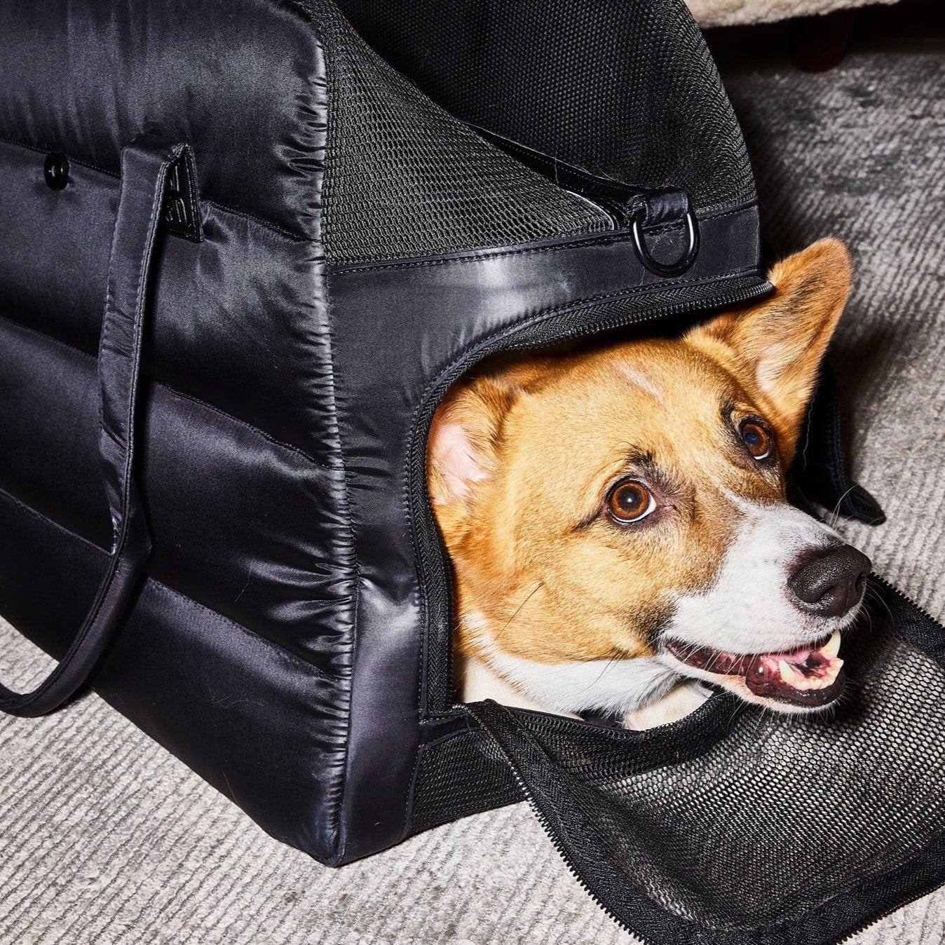 The Limited Edition Travel Tote