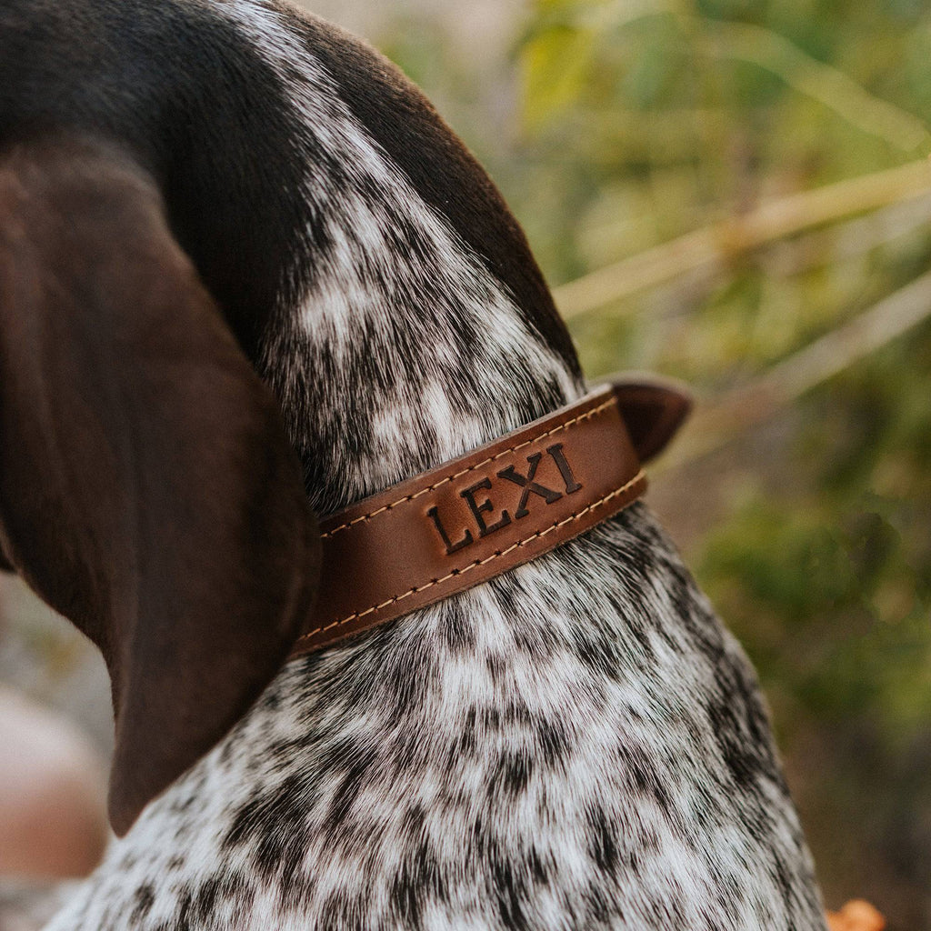 The Signature Collar