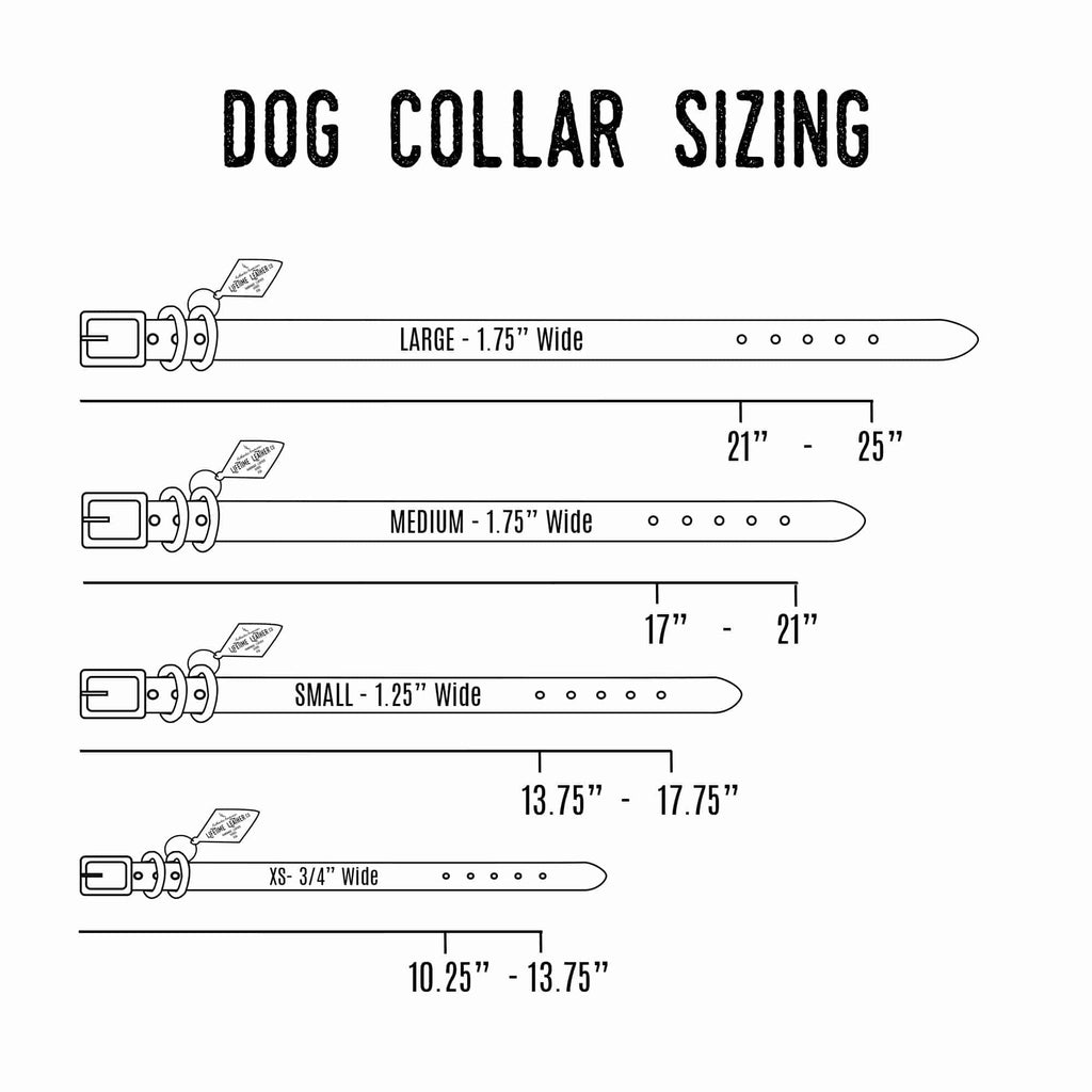 The Signature Collar