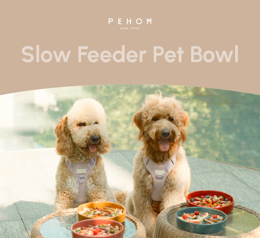 The Slow Ritual Bowl