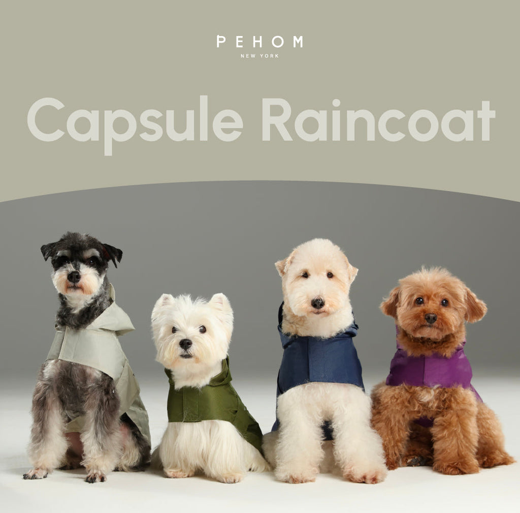 Le Capsule Raincoat in Green