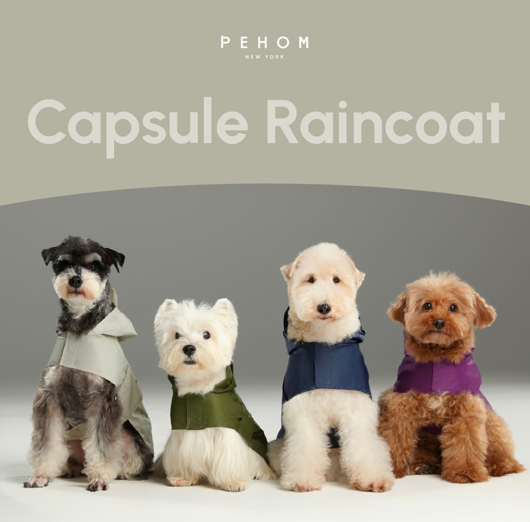 Le Capsule Raincoat in Green