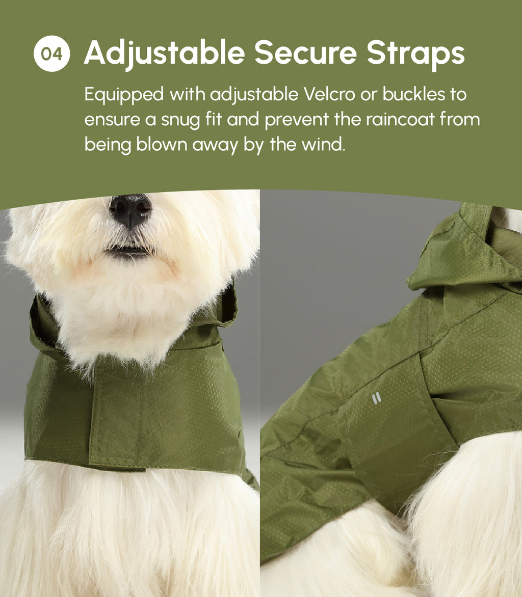 Le Capsule Raincoat in Green