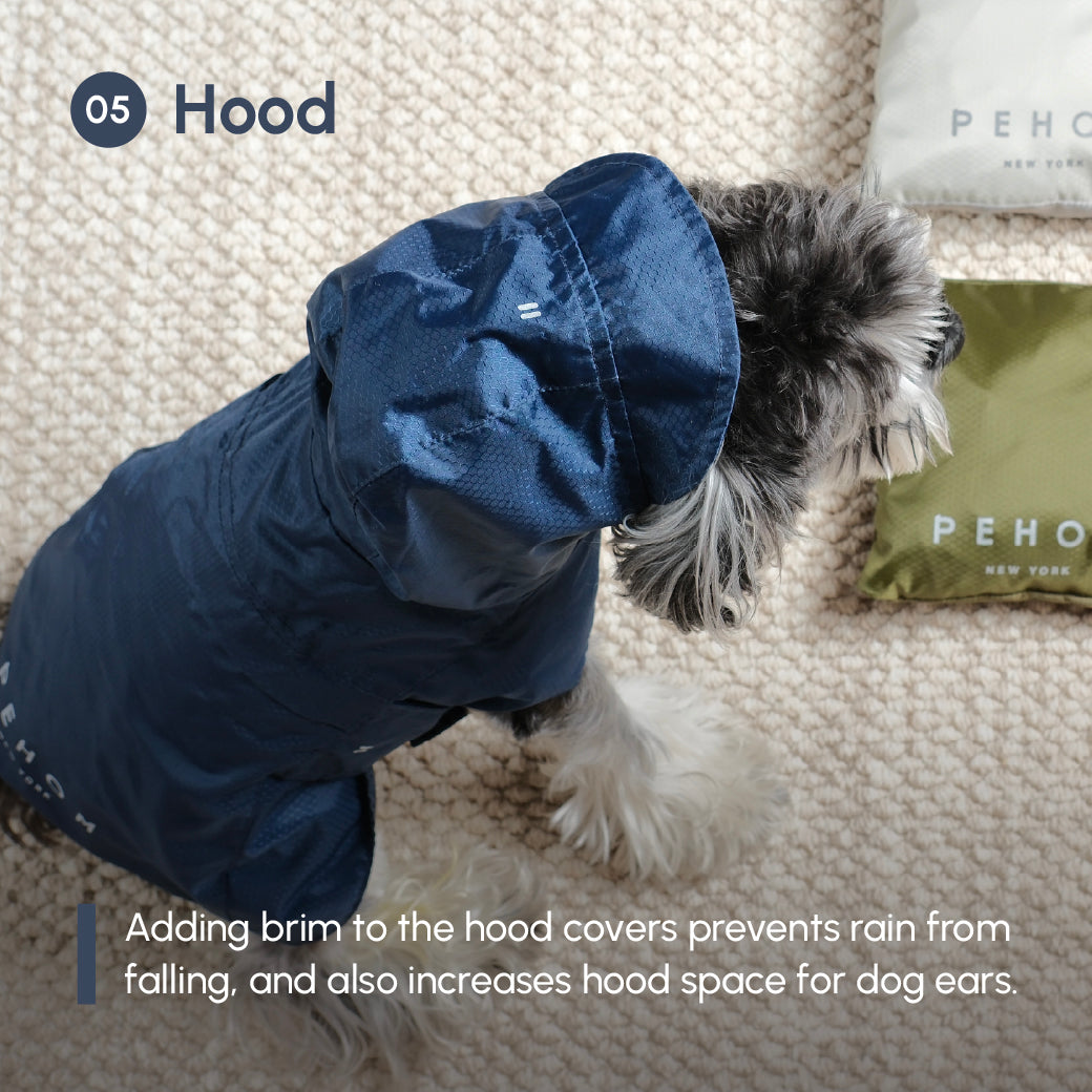 Le Capsule Raincoat in Green