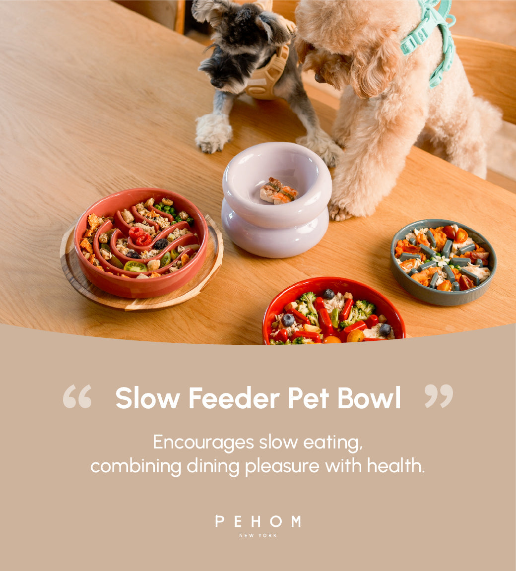 The Slow Ritual Bowl