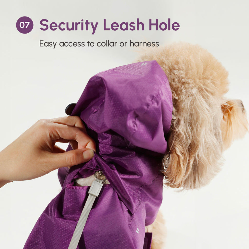Le Capsule Raincoat in Green