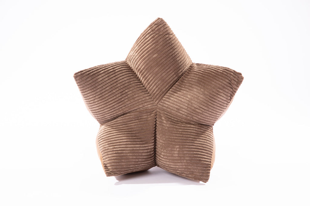 The Travel Pillow