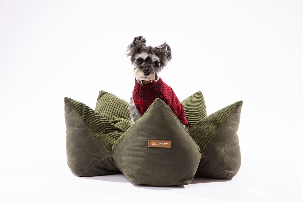 The Travel Pillow