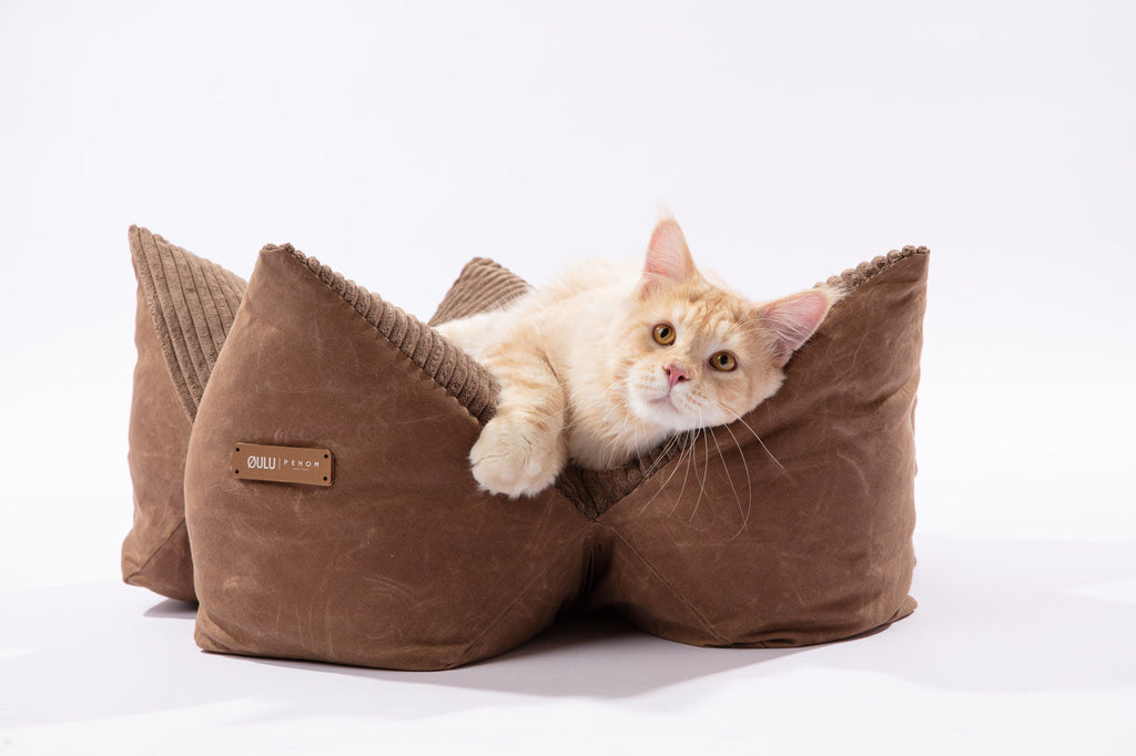 The Travel Pillow