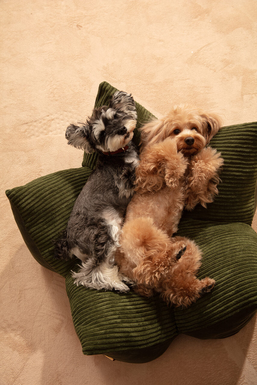 The Travel Pillow