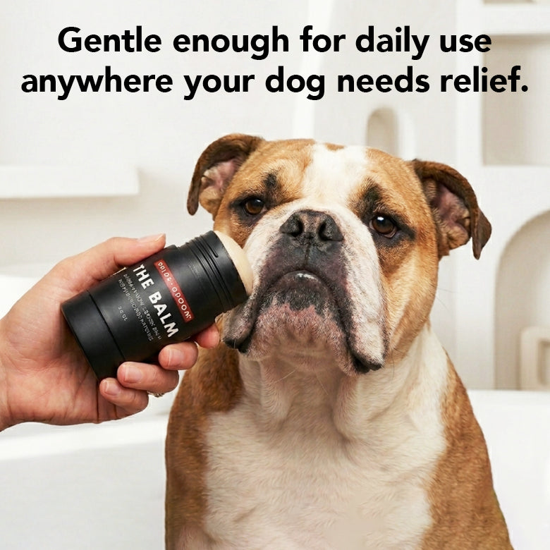 The Daily Balm