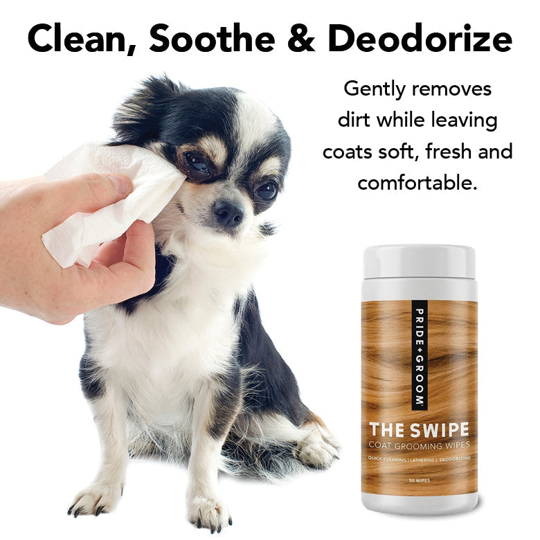 The Quick Clean