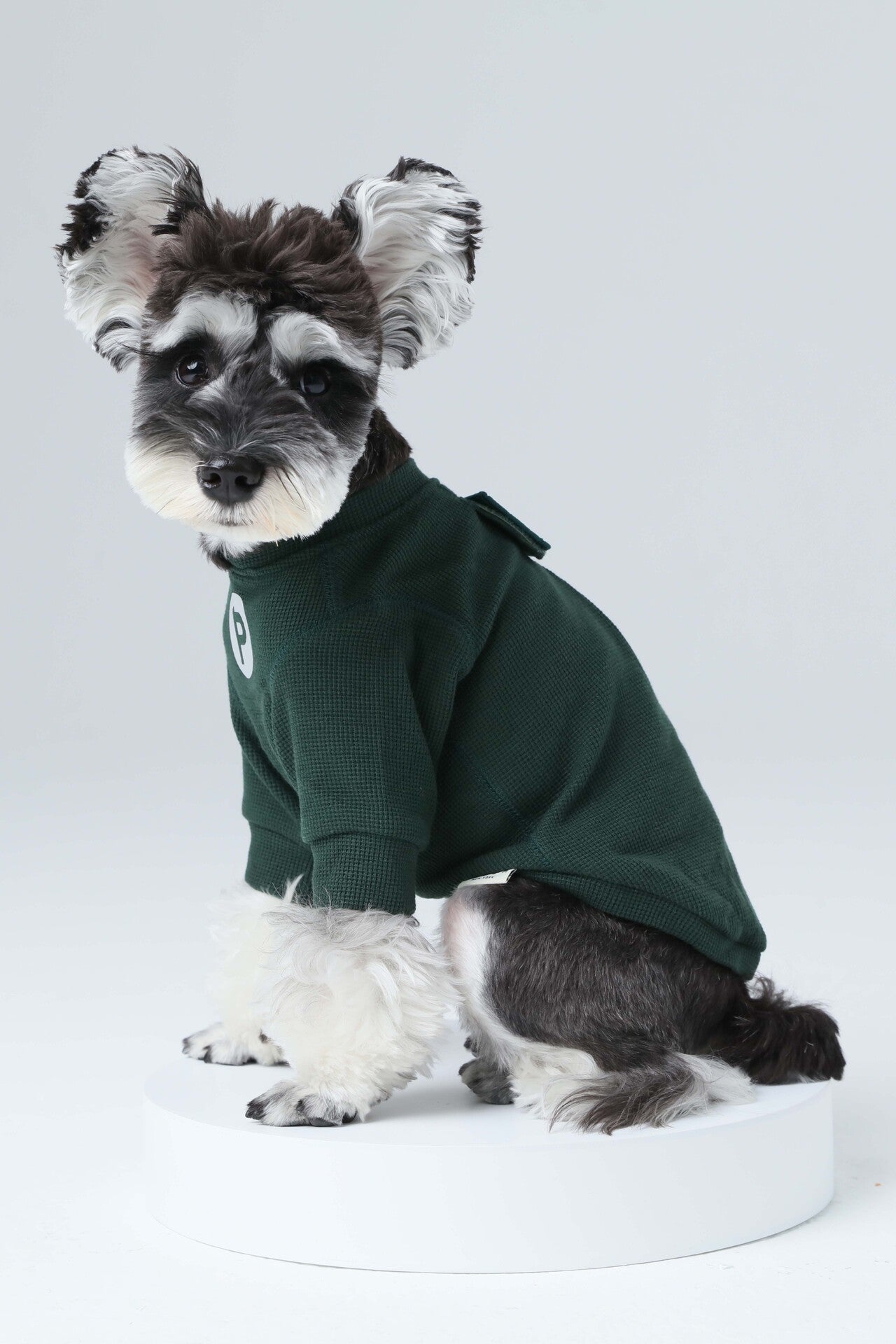 The Embroidery Waffle T-Shirt in Green