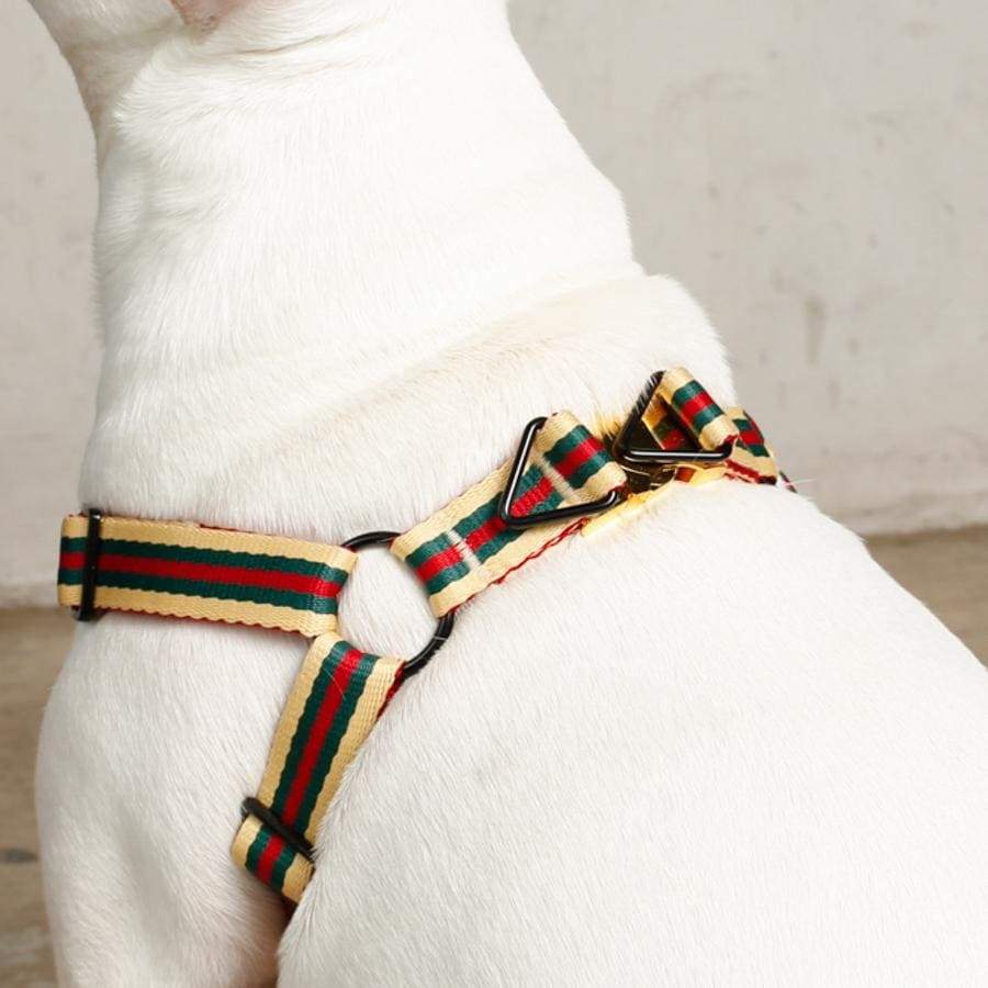 The Classic Harness