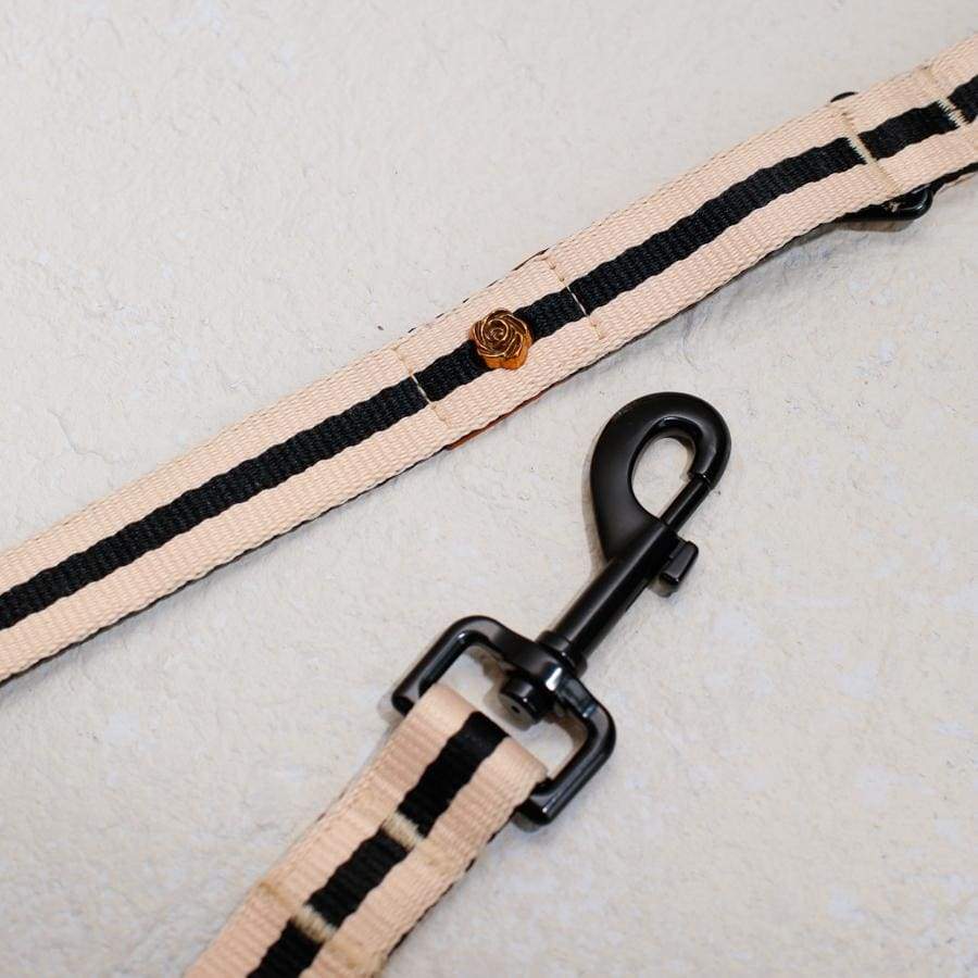 The Classic Lead