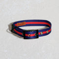 The Classic Collar