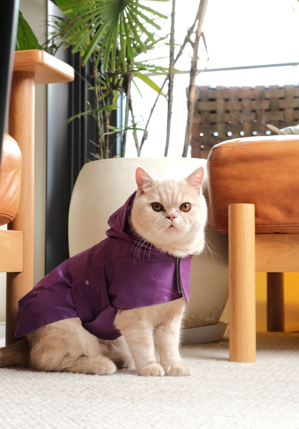 Le Capsule Raincoat in Green