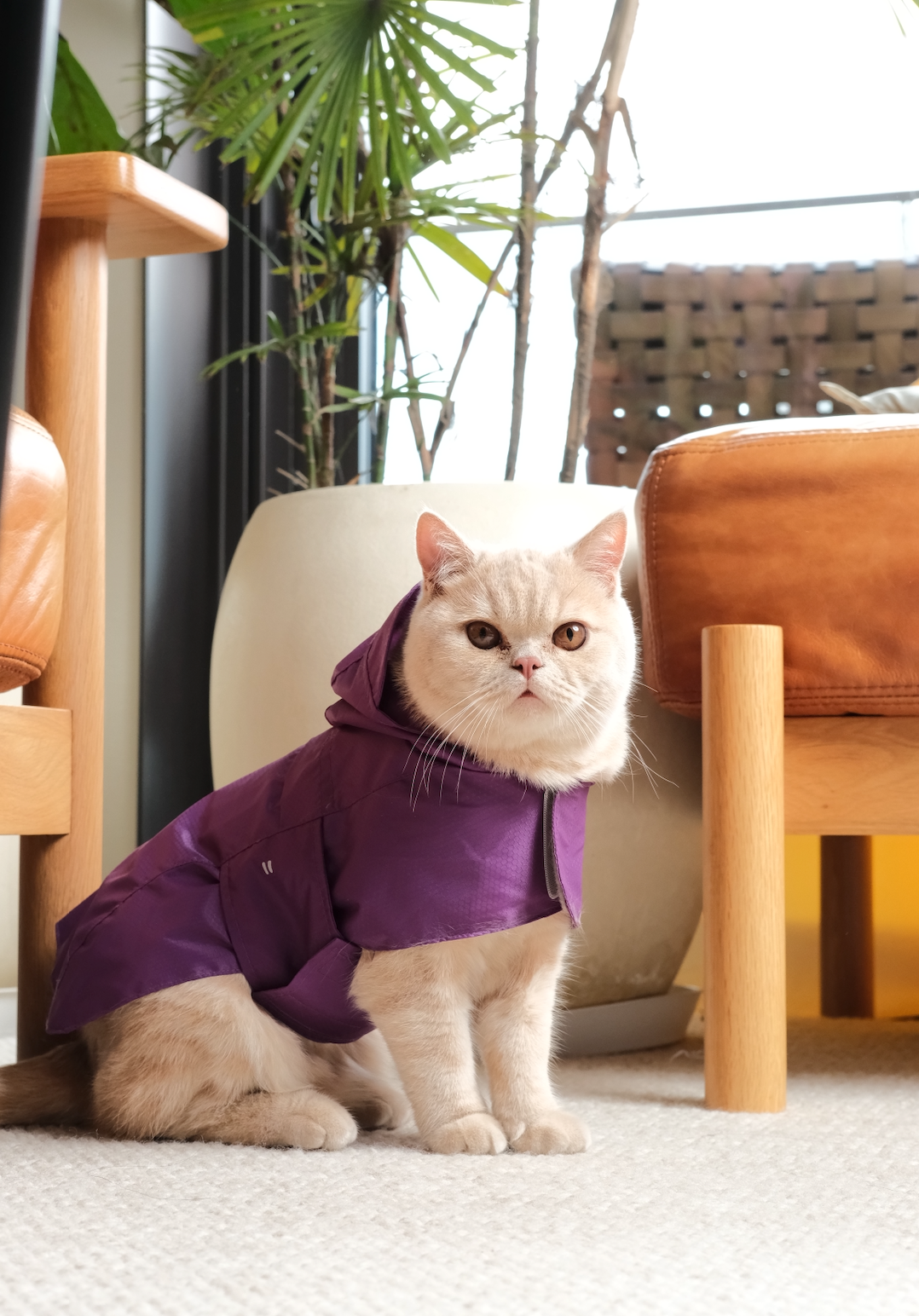 Le Capsule Raincoat in Green
