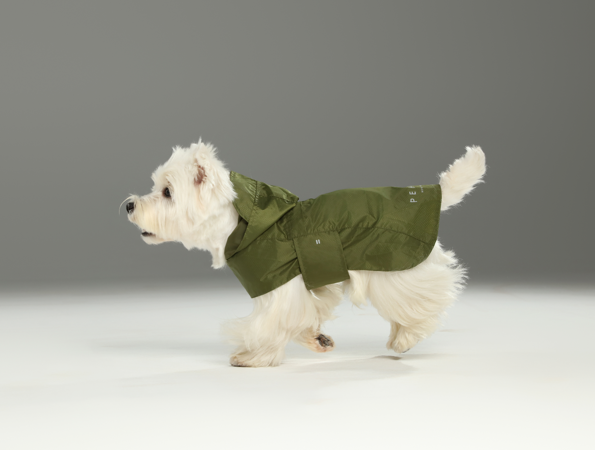 Le Capsule Raincoat in Green