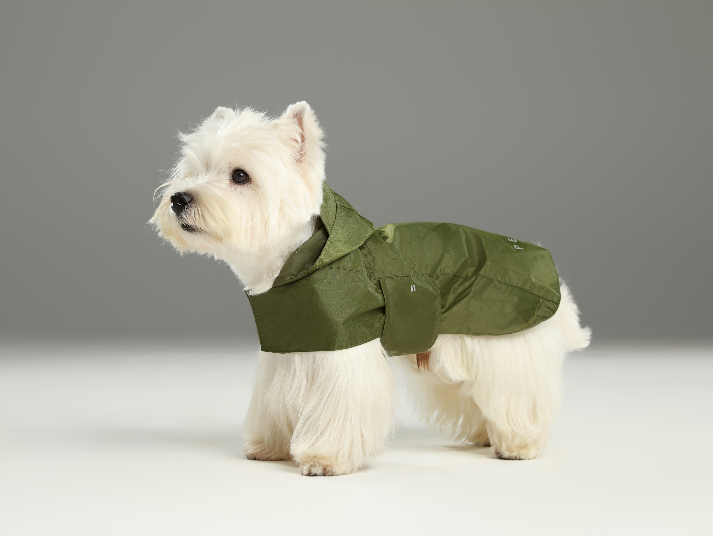 Le Capsule Raincoat in Green