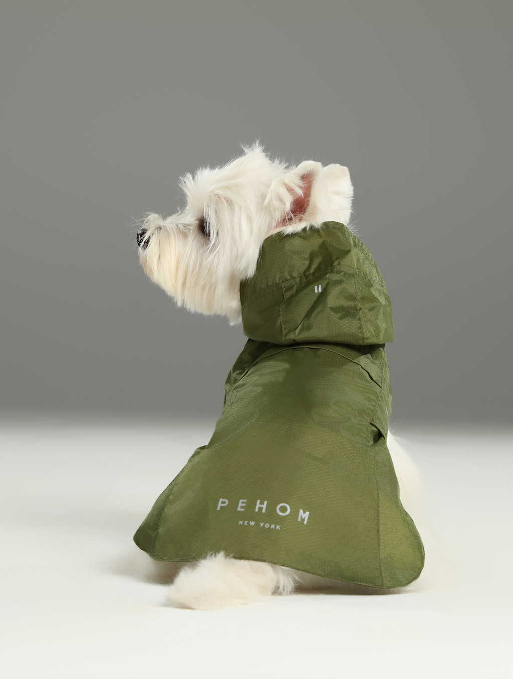 Le Capsule Raincoat in Green