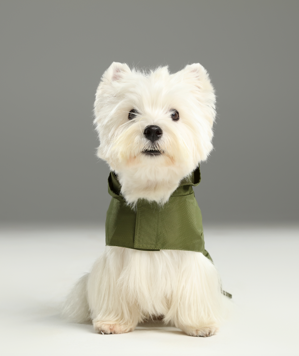 Le Capsule Raincoat in Green