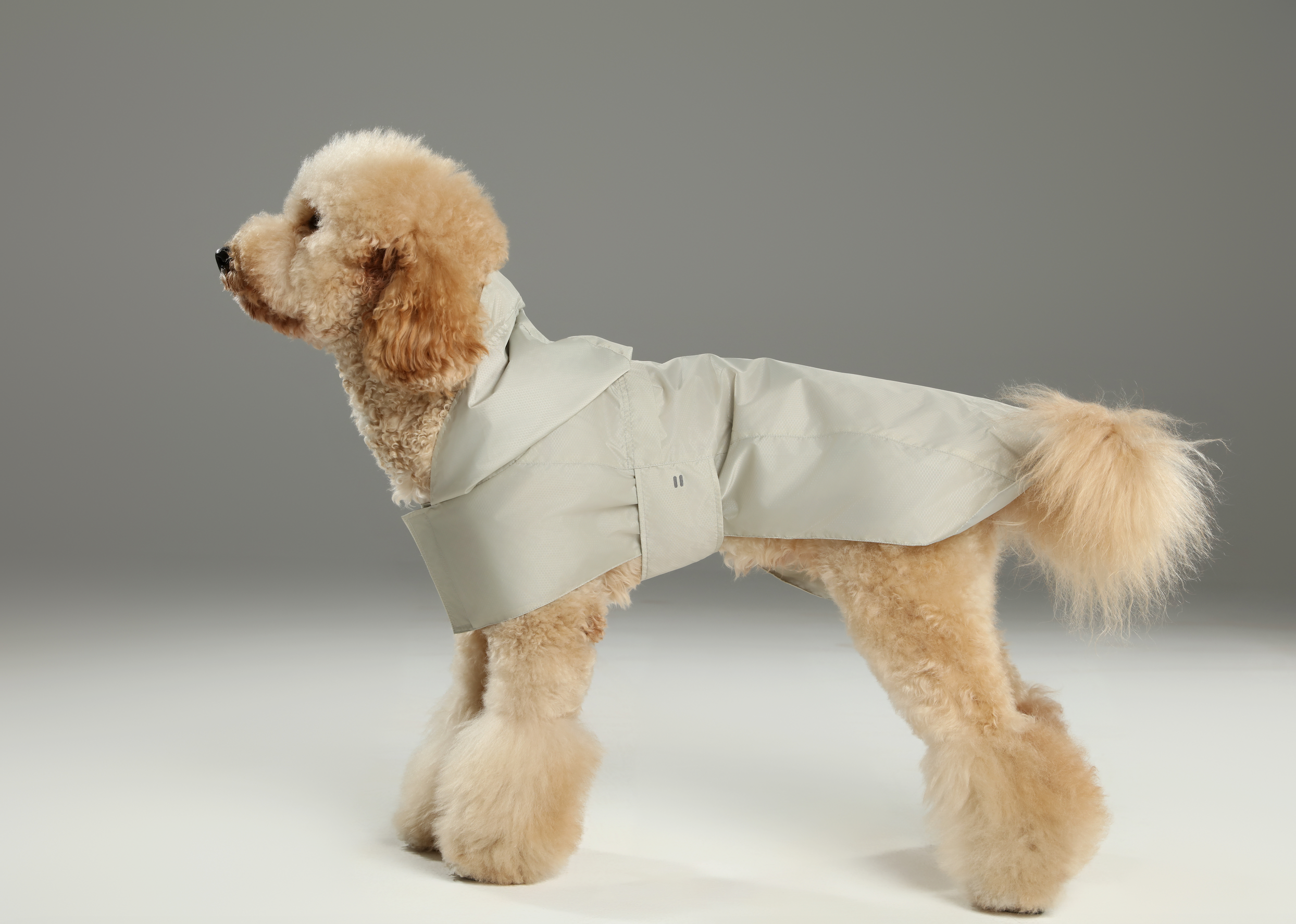 Le Capsule Raincoat in Beige