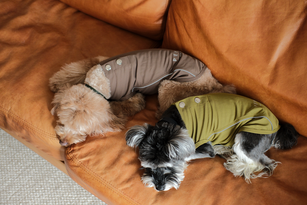 The Harbor Chill Vest in Green