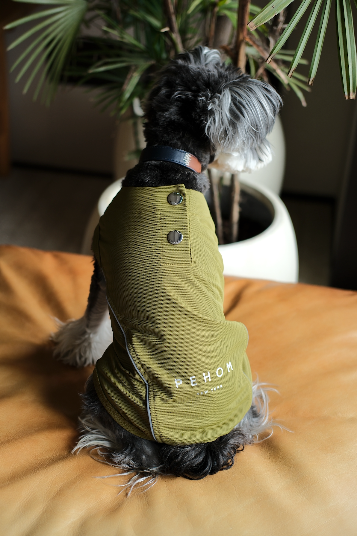 The Harbor Chill Vest in Green