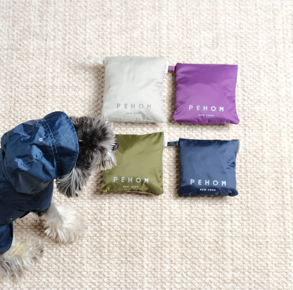 Le Capsule Raincoat in Green