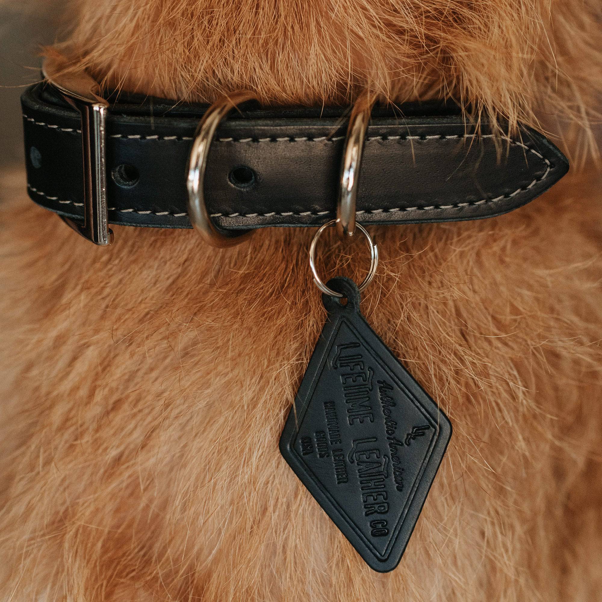 The Signature Collar