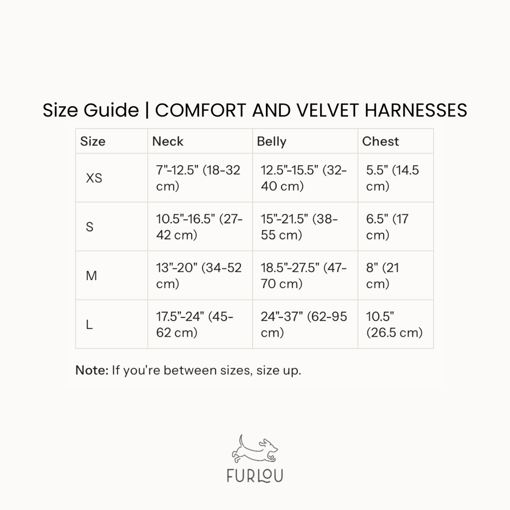The Everyday Harness